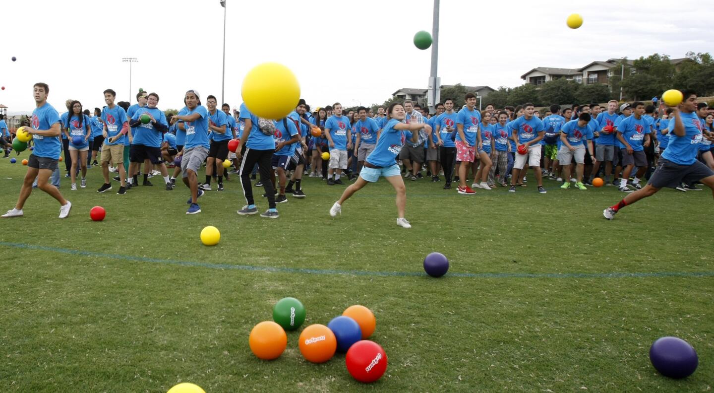 UC Irvine attempts to break four-quadrant dodgeball world record