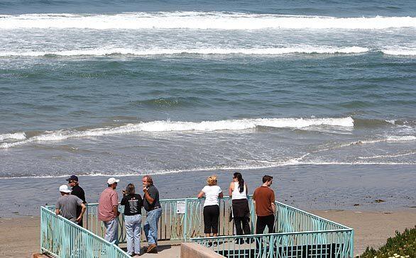 Solana Beach shark attack