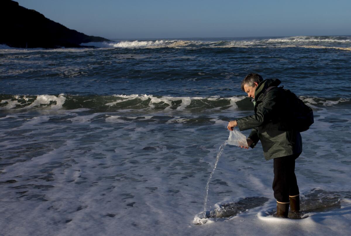 Sanford collects seawater for the collection of marine life at Horseshoe Cove next to the UC Davis Bodega Marine Laboratory.