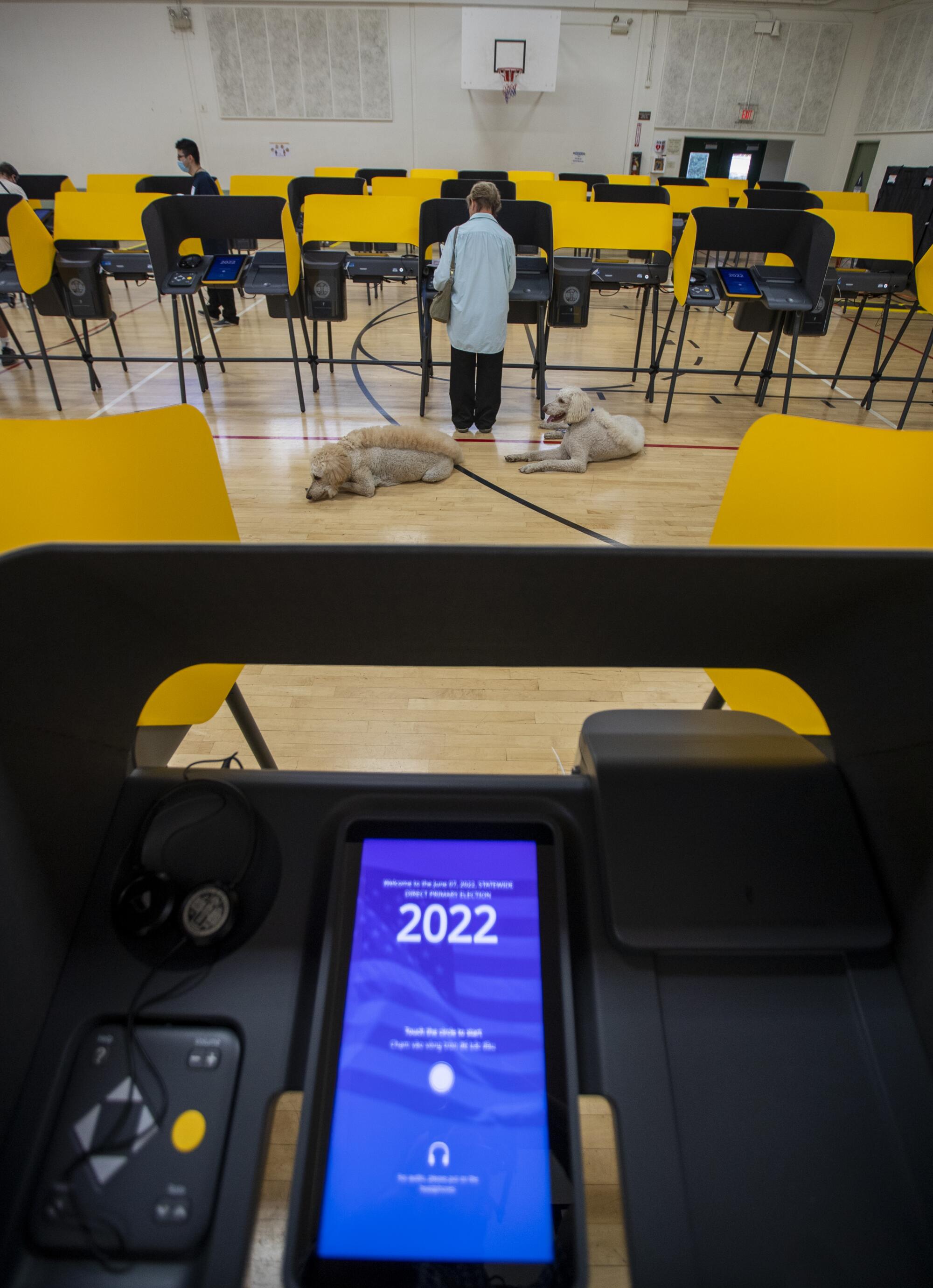 Janice Slattery votes as two dogs lie at her feet