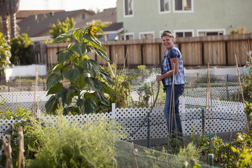 Letter Urban Gardening Could Help The Poor Los Angeles Times