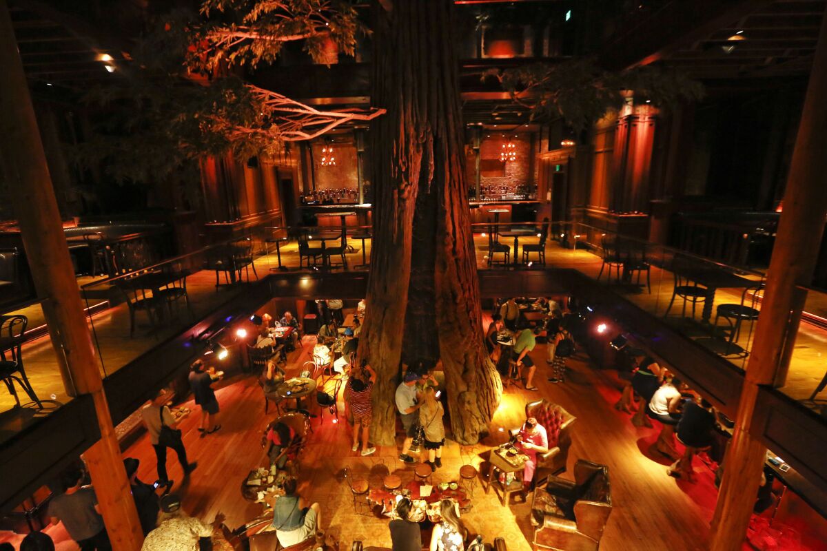 A fake giant redwood tree is on display inside the monarch bar at Clifton's cafeteria,