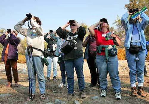 Bird-watchers catch sight of a woodpecker.