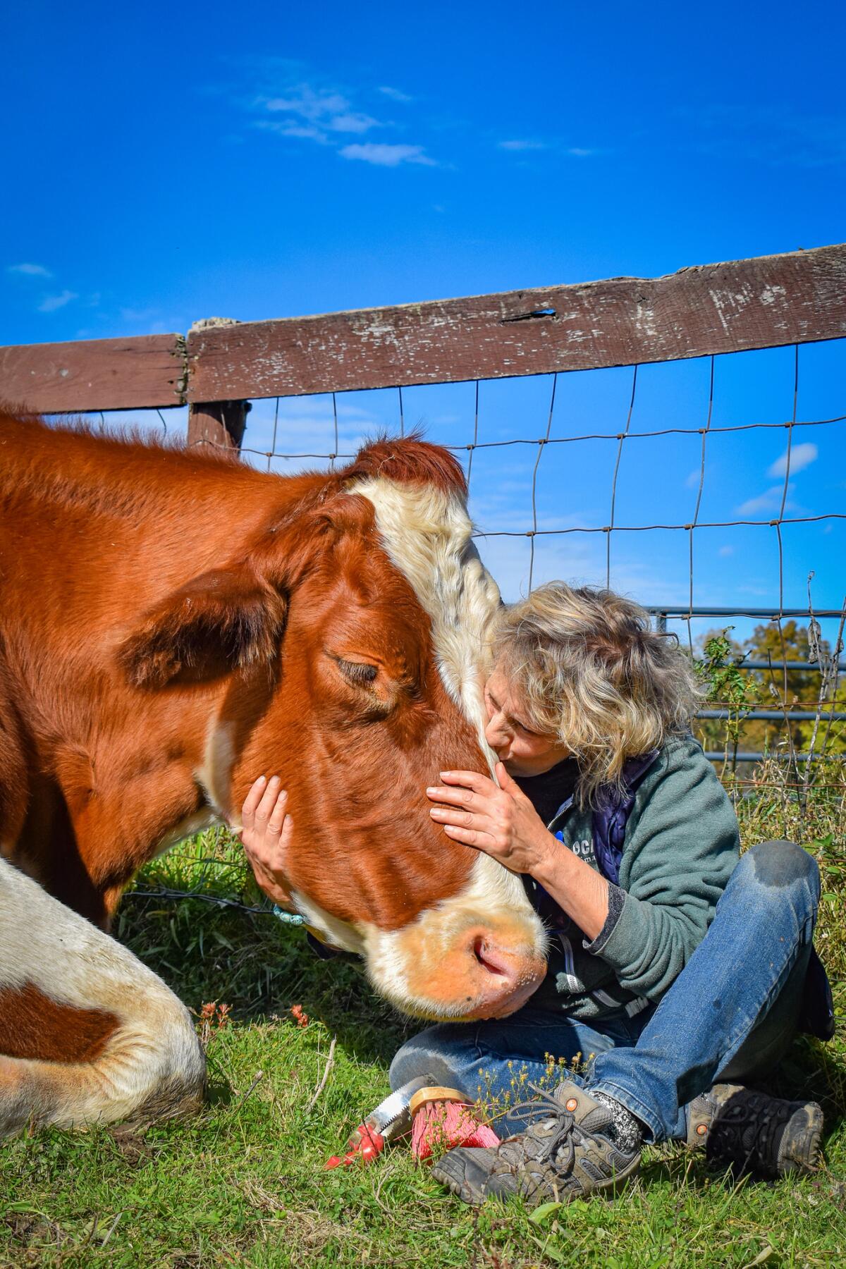 Kathy Stevens kisses a cow on its forehead as they sit on the grass.