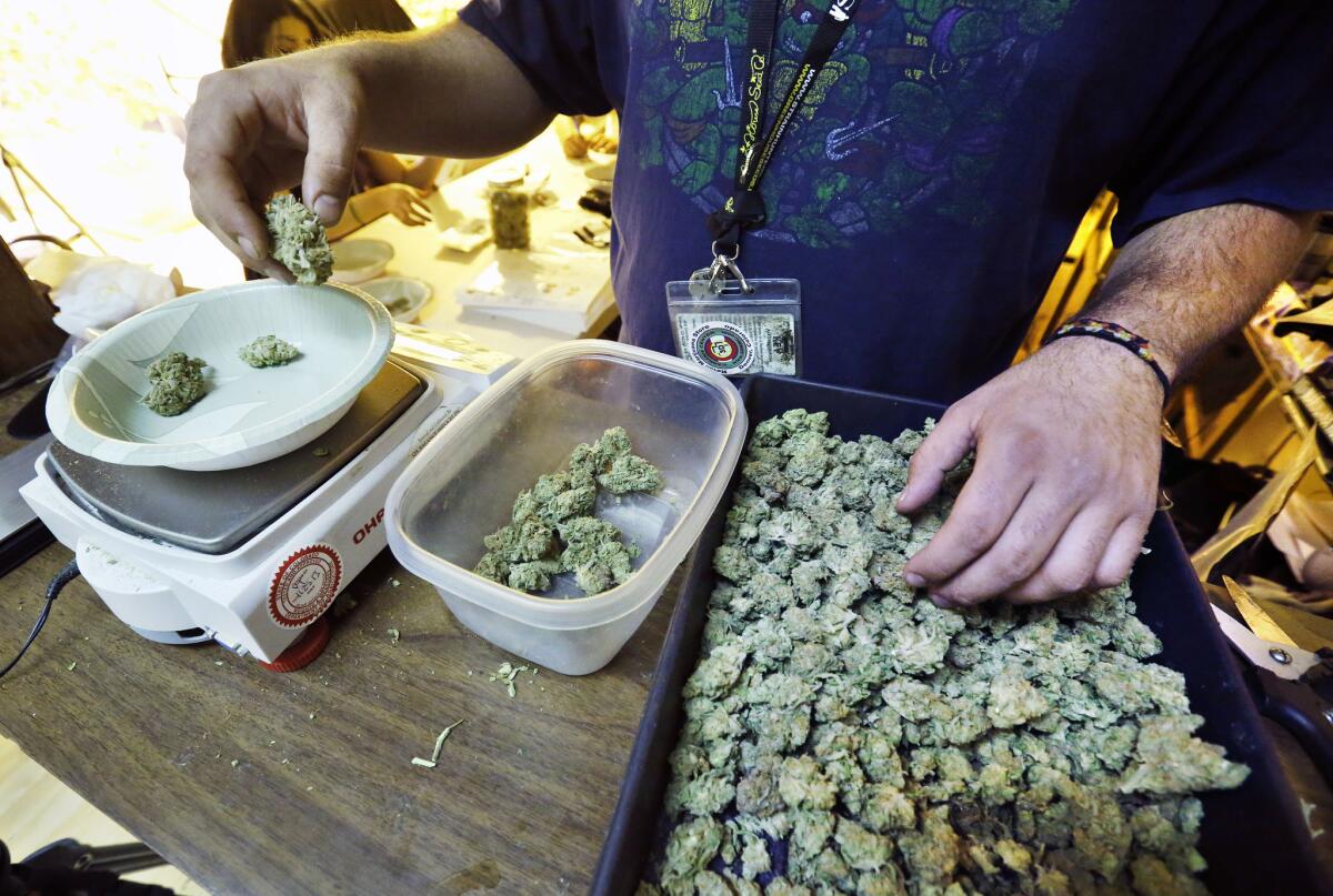 An employee weighs portions of retail marijuana to be packaged and sold at 3D Cannabis Center in Denver. Marijuana sales in the state begin on New Year's Day.