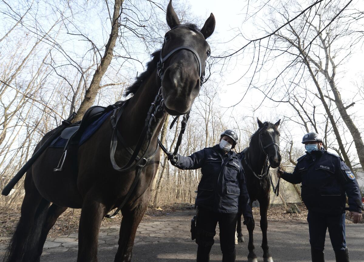 Police in Warsaw walk their horses.