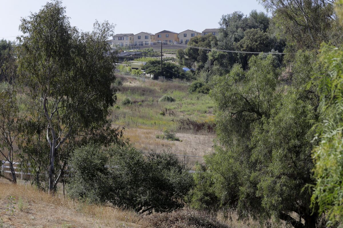 New houses in the Wildgrove development in Vista overlook land proposed to become a Catholic cemetery