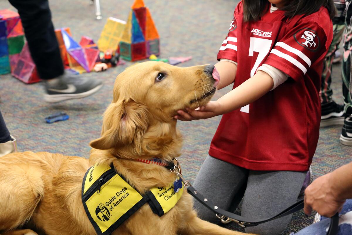 Students of Hope View Elementary School learn how to properly pet a service dog on Wednesday.