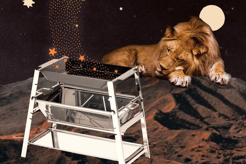 surreal collage of a portable burner with illustrated sparks flying above with a lion lays on a celestial landscape behind it