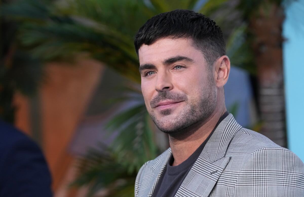 Zac Efron squinting in a gray sportcoat and black T-shirt in front of a palm tree