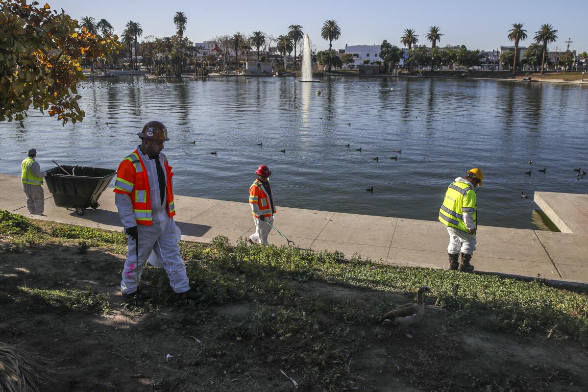 Members of a cleanup crew, wearing high-vis vests, pick up trash in a park next to a lake