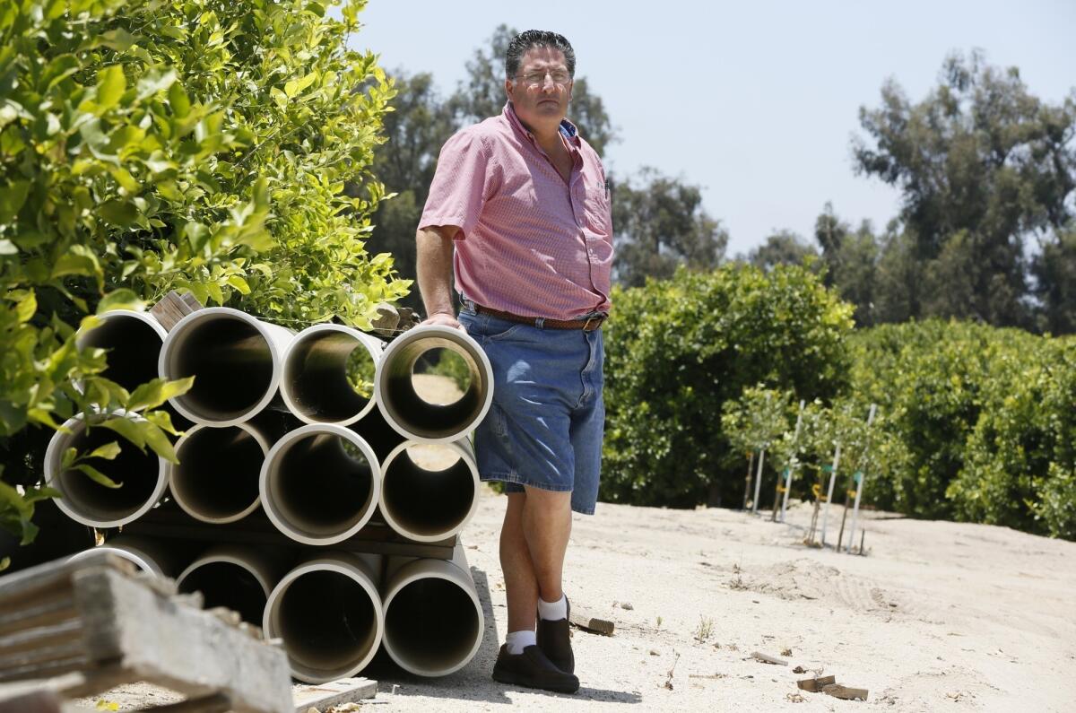 Anti-fracking activists allege that the process of removing oil from deep underground damages air quality, contaminates water sources and could potentially cause earthquakes. Above: Farmer David Schwabauer, a fourth-generation avocado and lemon grower, tours his property's irrigation system in Moorpark in the foothills just east of coastal Ventura. The Schwabauer family has been considering allowing energy companies to drill new exploratory wells in their orchards.