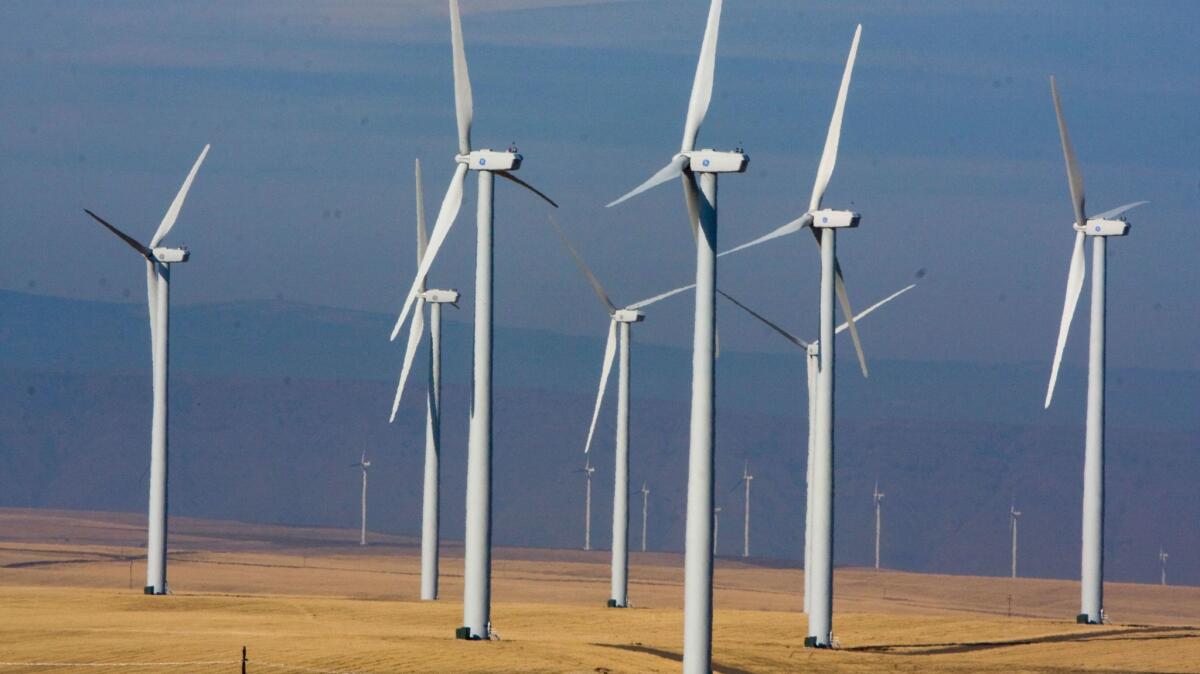 Wind turbines dot the landscape east of Wasco, Ore. on Oct. 29, 2008.