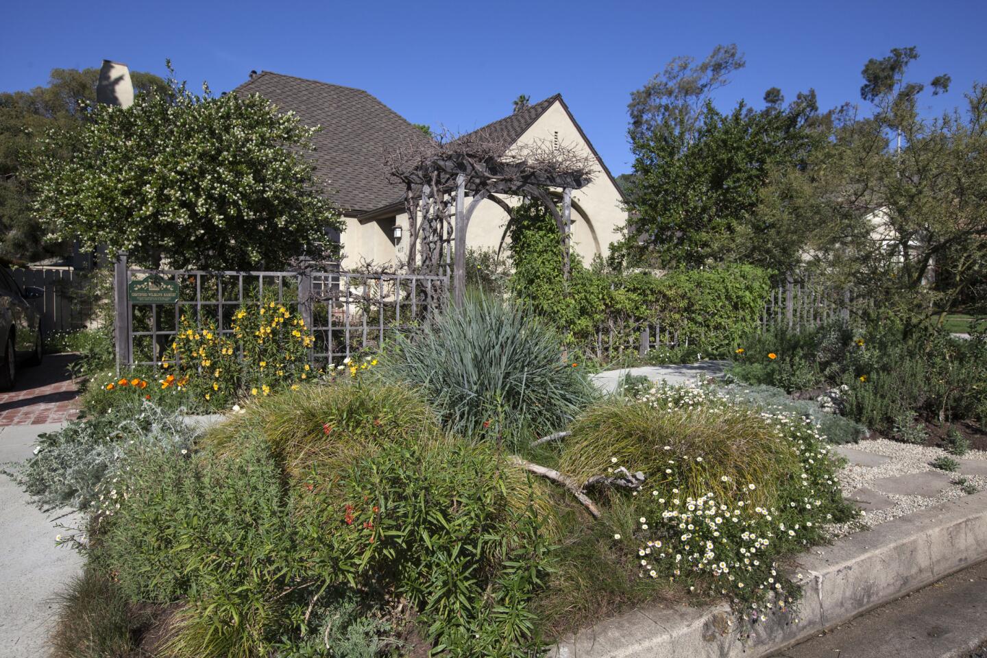 This 1,200-square-foot front garden in Brentwood is alive with birds, butterflies and bees thanks to the milkweed, lilac verbena, monkeyflower and buckwheat that were planted to attract wildlife. Begun in May 2008, it proves what you can do when you ditch the grass.