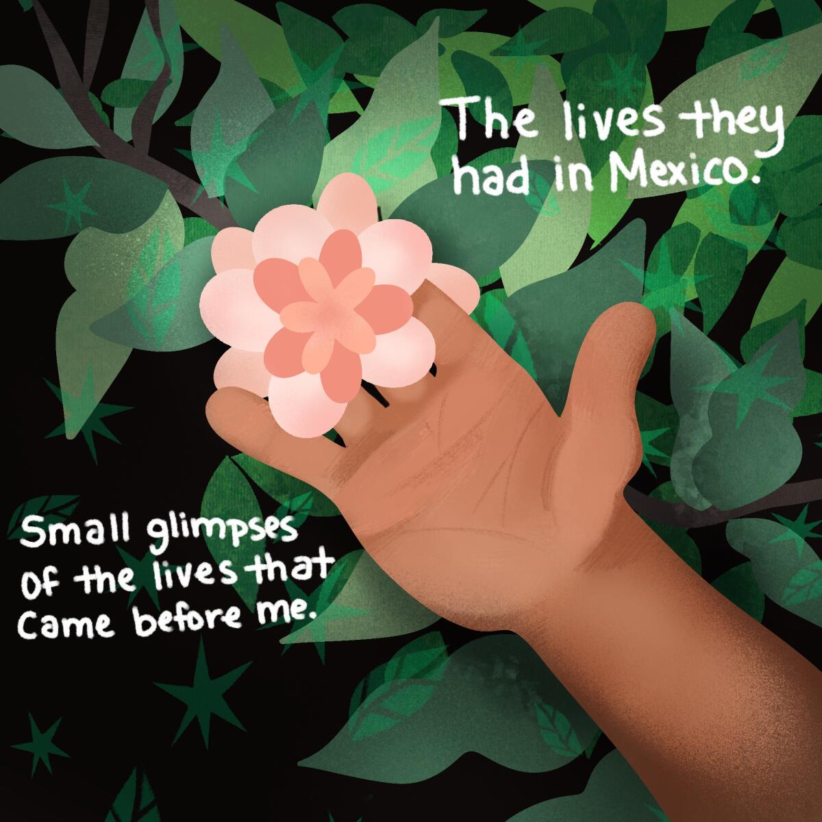 The lives they had in Mexico. Small glimpses of the lives that came before me.