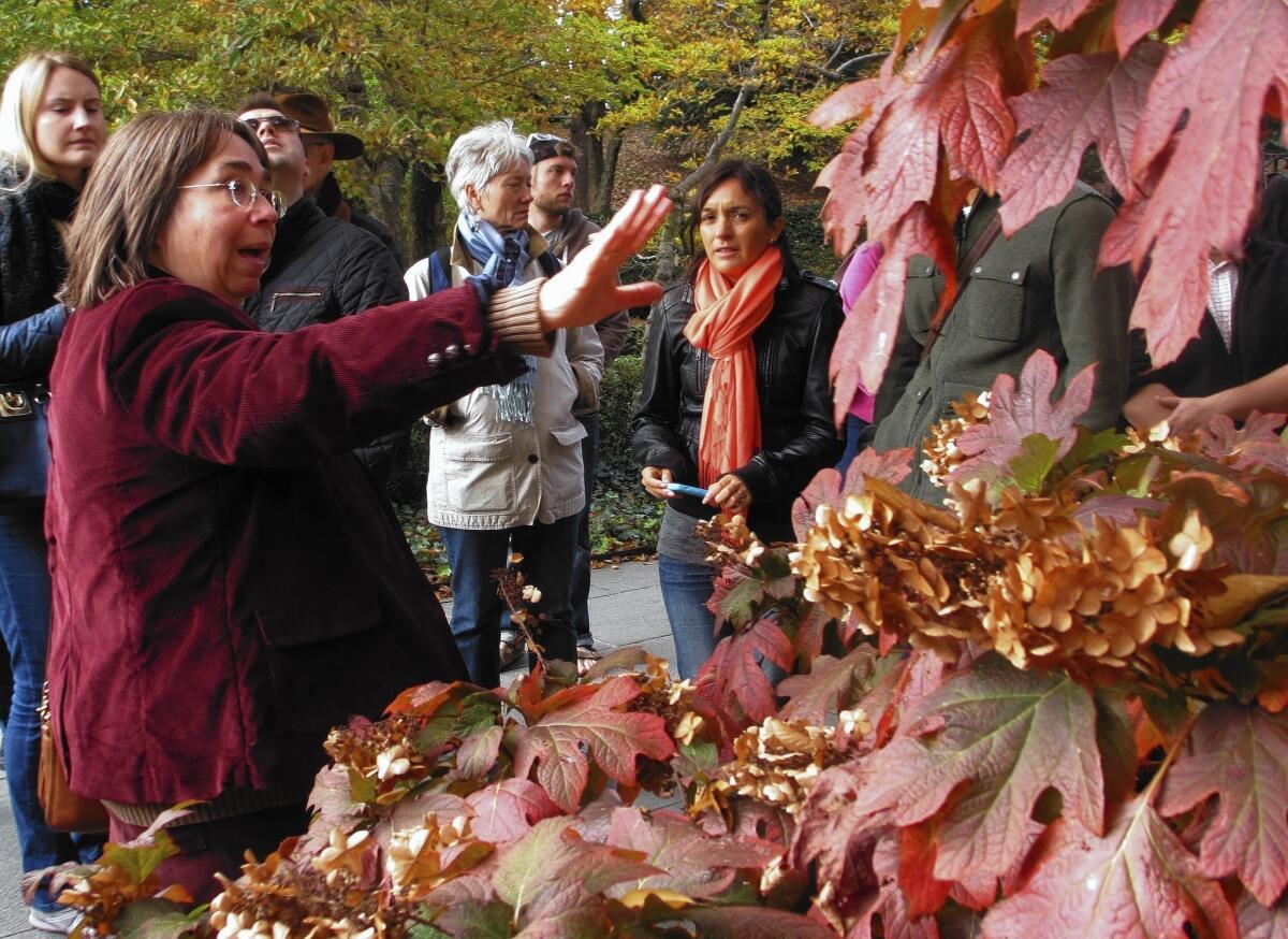 Lynne Spevack points out colorful foliage in the Brooklyn Botanic Garden of New York as she guides a walk aimed at helping people fend off the winter blues, which in their worst form are recognized by mental health experts as seasonal affective disorder.
