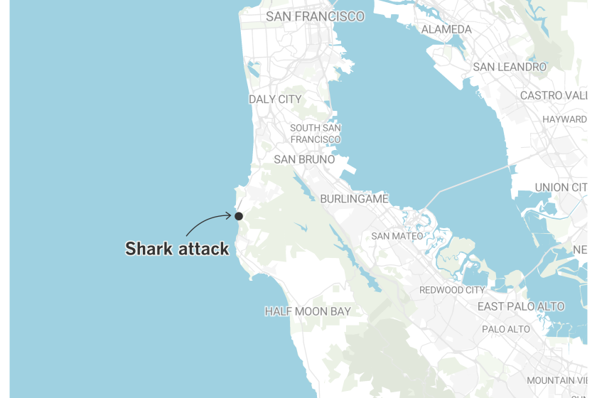 A shark attack occurred off the San Mateo County coast