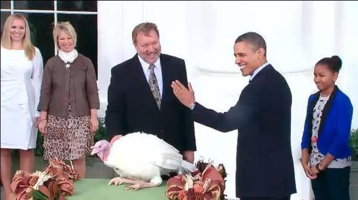 President Obama pardons Liberty, the National Thanksgiving Turkey, during a ceremony at the White House Wednesday, Nov. 23, 2011.