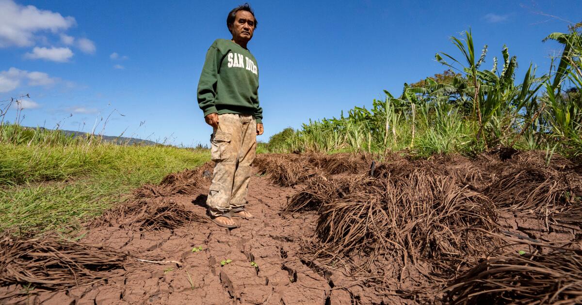 Les pires inondations à Hawaï depuis des années mettent les agriculteurs en danger