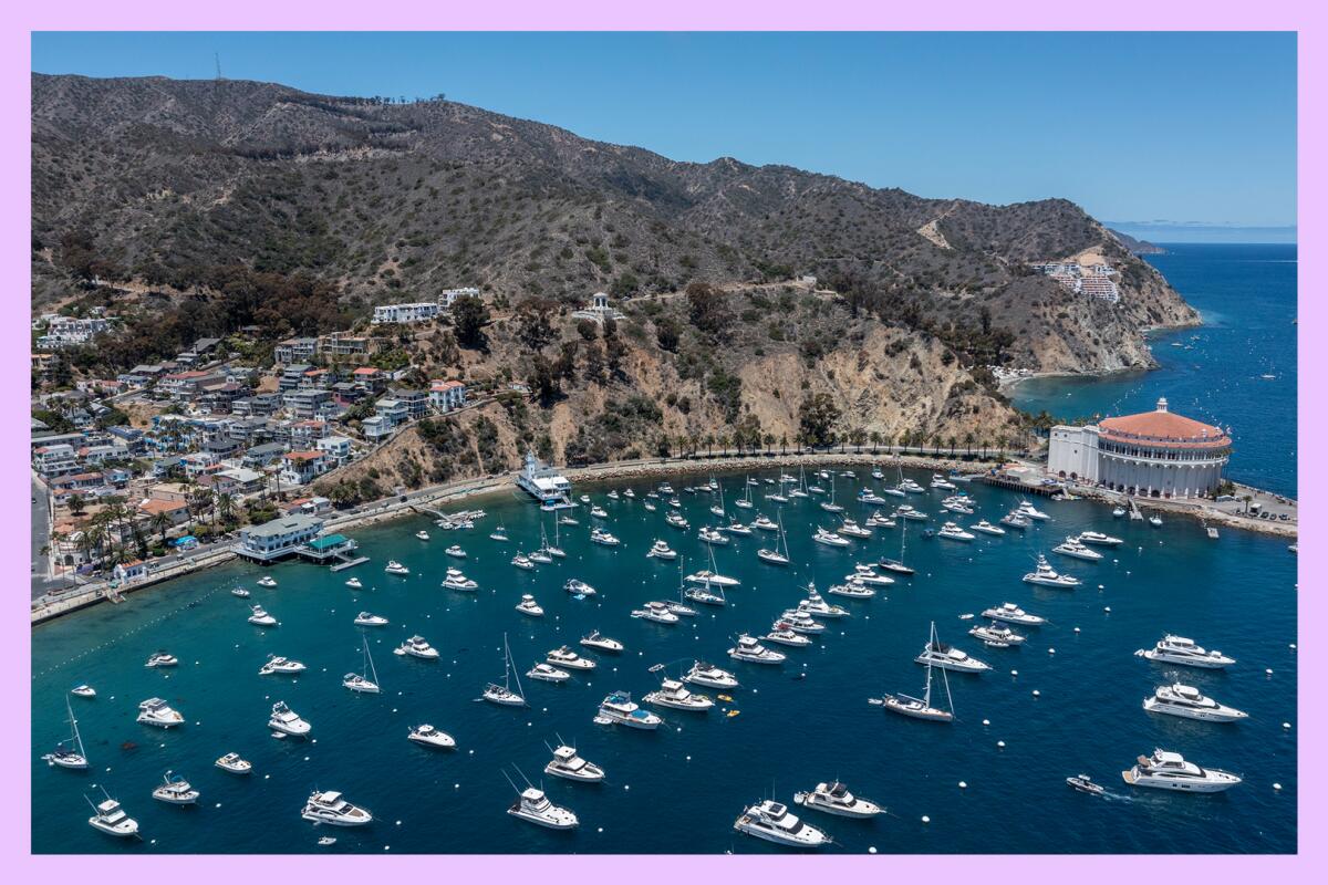 An aerial view of Catalina Island's Avalon Bay 