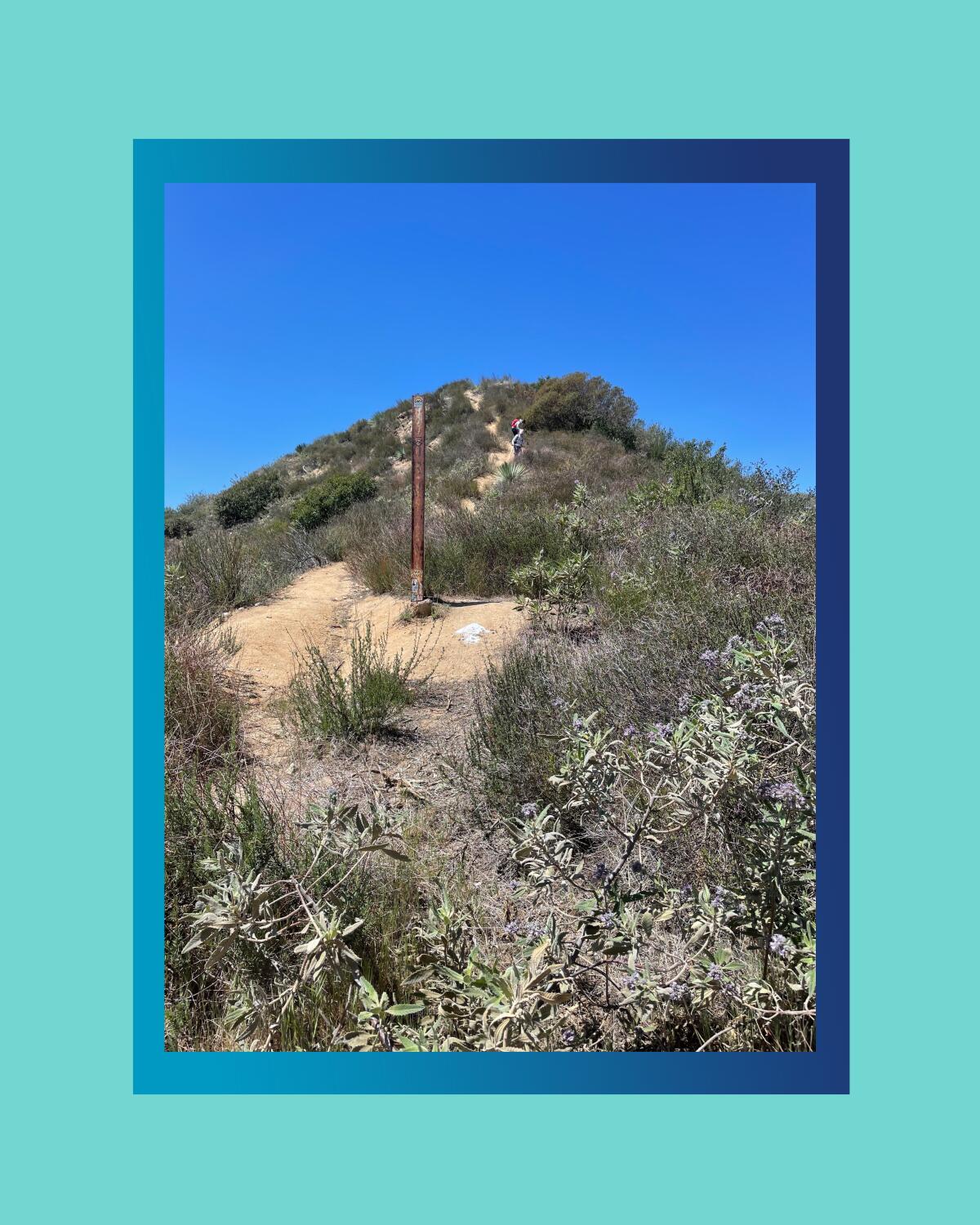 A hilltop in the Angeles National Forest.