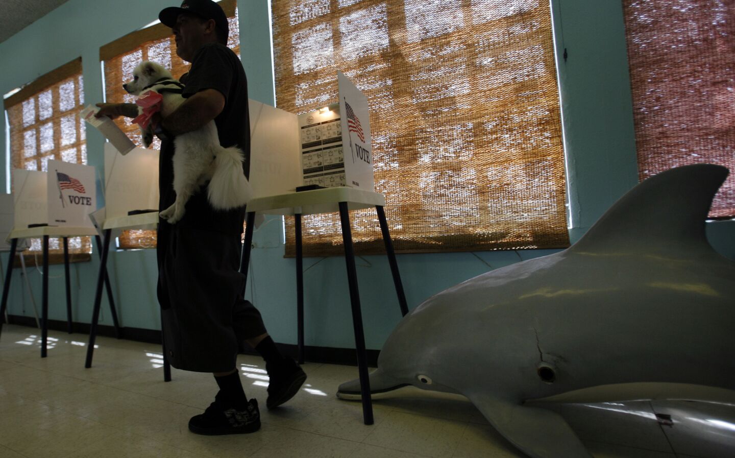Paul Maes walks away from the polling booth to turn in his ballot as he carries his dog, Rocko, next to a leaping dolphin at the Cetacean Society building at Point Fermin Park in San Pedro.