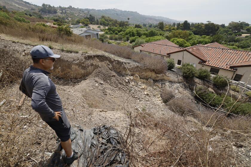 Rancho Palos Verdes, CA - August 01: Homeowner Mike Hong views a large fissure that has opened up since February next to his home and damaging a neighbors' Portuguese Bend home after last winter's heavy rain in Rancho Palos Verdes Thursday, Aug. 1, 2024. Due to continual land movement, the Portuguese bend neighborhood in Rancho Palos Verde could face power shut off. Mike Hong, whose home neighbors a large fissure that has been getting larger and deeper since February, when the area was inundated with heavy rains. He says that water is draining from Rolling Hills homes into Altamira Canyon and directly flowing into the earth and not into the ocean, which is part of a proposed drainage plan. He says lining the canyon would help as rain saturation is one of the contributing factors to movement in the area. The fissure also passes through and through the Palos Verdes Nature Preserve. (Allen J. Schaben / Los Angeles Times)