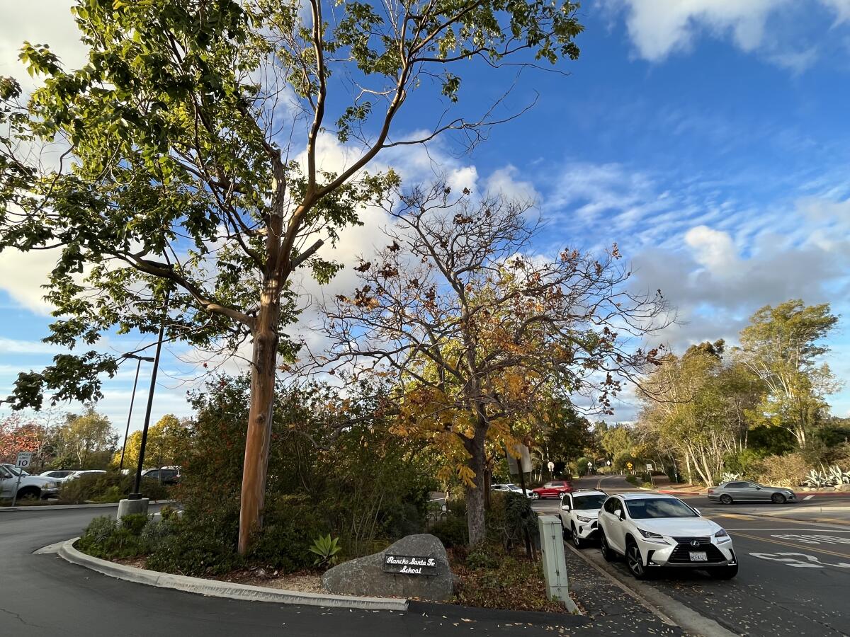 The sidewalk on Avenida de Acacias will see improvements.