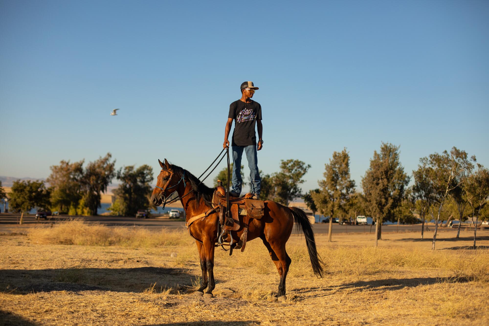 A horse standing in a field as cowboy stands on its back