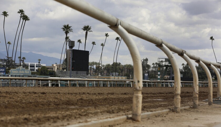 More than two dozen horse deaths have been reported since Dec. 26 at Santa Anita Park, leaving the racing industry in a quandary.
