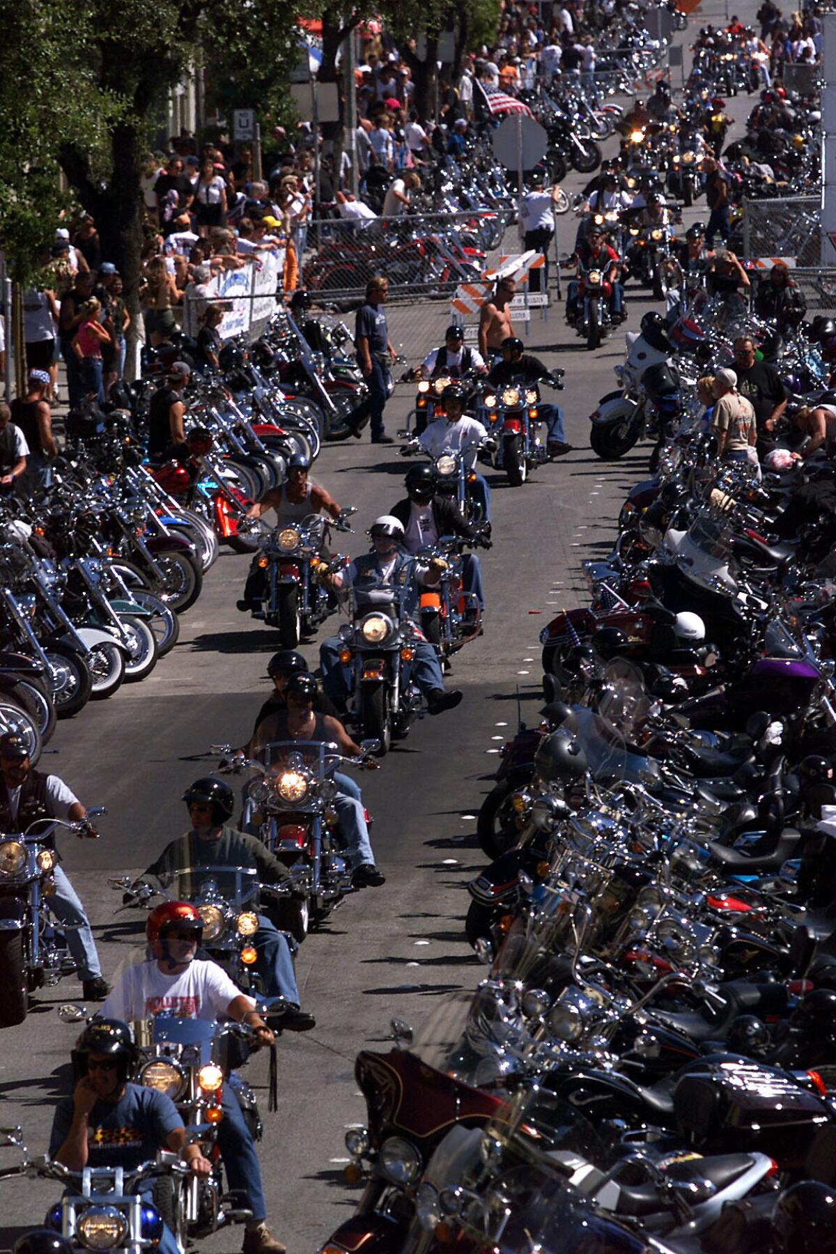 A line of motorcycles.