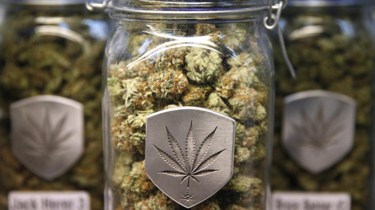 Diferentes cepas de marihuana se muestran para su venta en un dispensario de Denver.