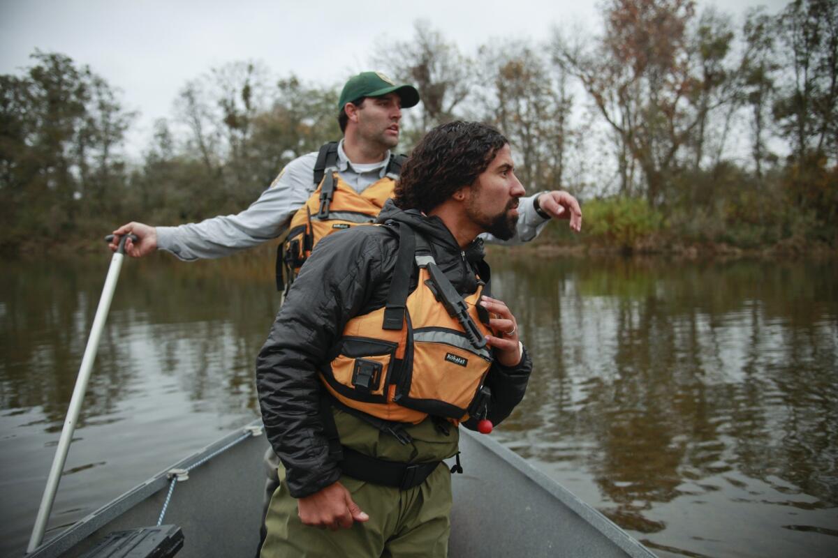 Rene Henery, California science director of Trout Unlimited (front) and Matt Bigelow, an environmental scientist with the California Department of Fish and Wildlife, spot a wild spawning chinook salmon in an upper portion of the San Joaquin River that has been devoid of salmon for more than 60 years.