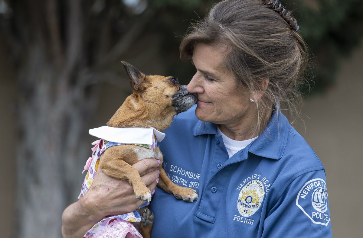 Bubbles gives a kiss to Valerie Schomburg, animal control supervisor at the Newport Beach Animal Shelter.