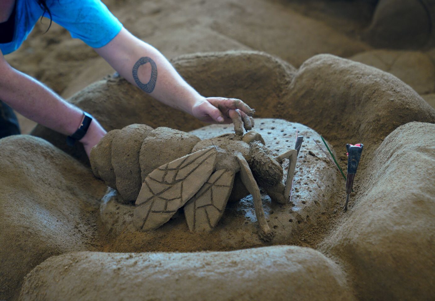 U.S. Sand Sculpting Challenge, I.B. Challenge Class