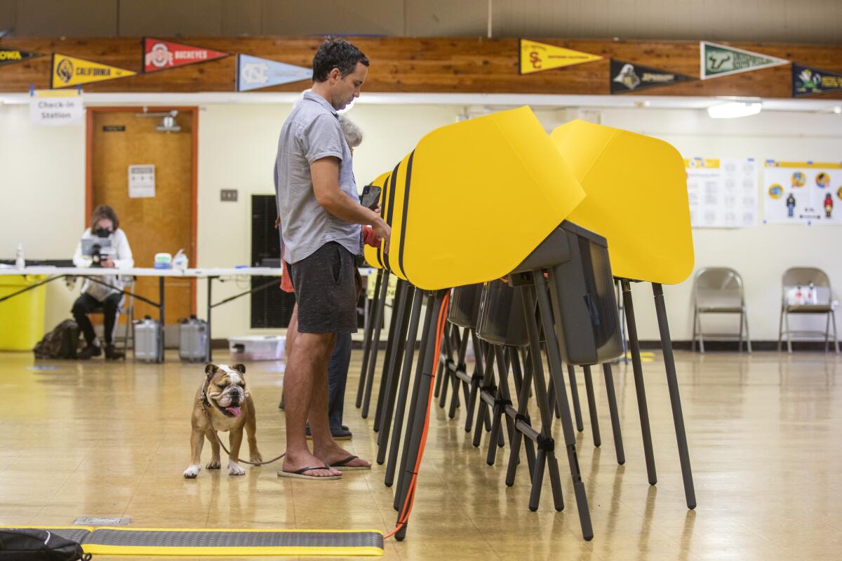 Cameron Porsandeh voting with his Old English Bulldog at Westminster Elementary