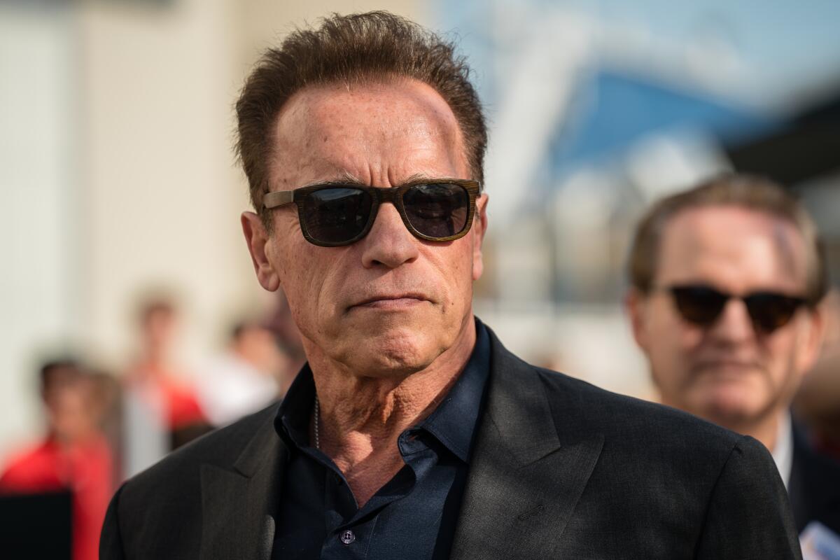 Actor and former governor Arnold Schwarzenegger wearing sunglasses and a suit
