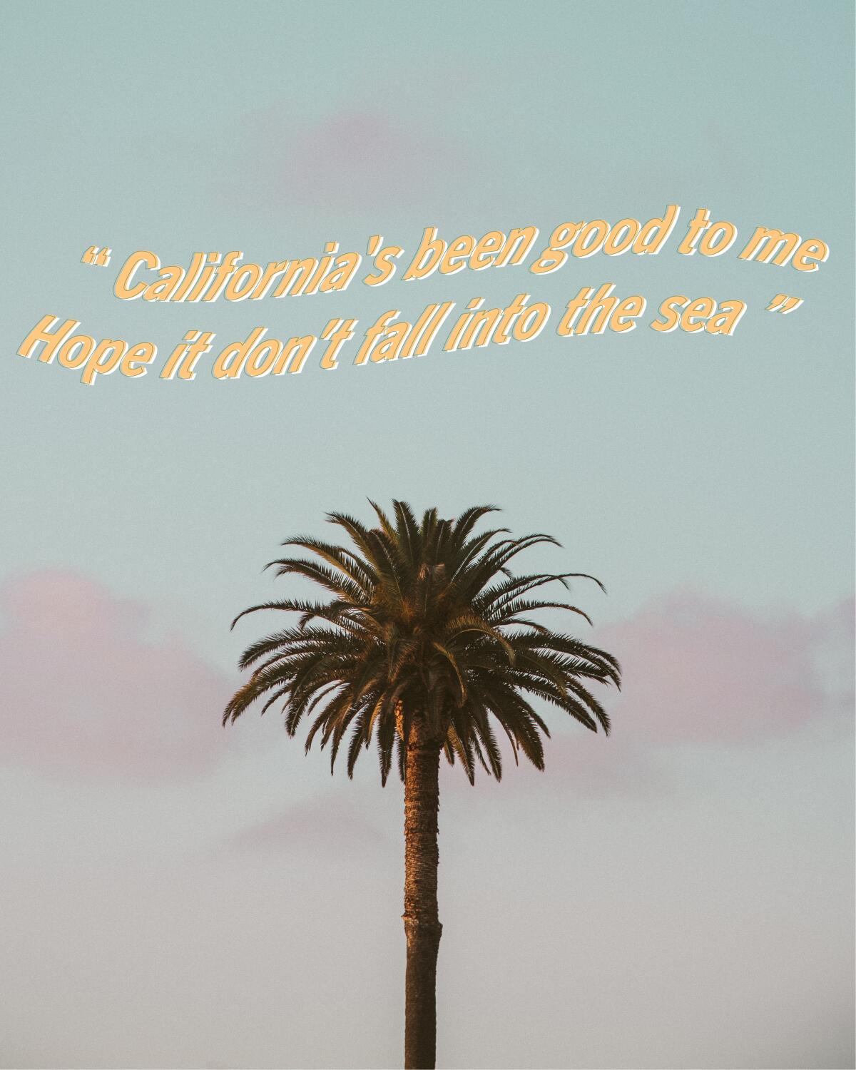 Tom Petty’s “California” lyrics and a palm tree