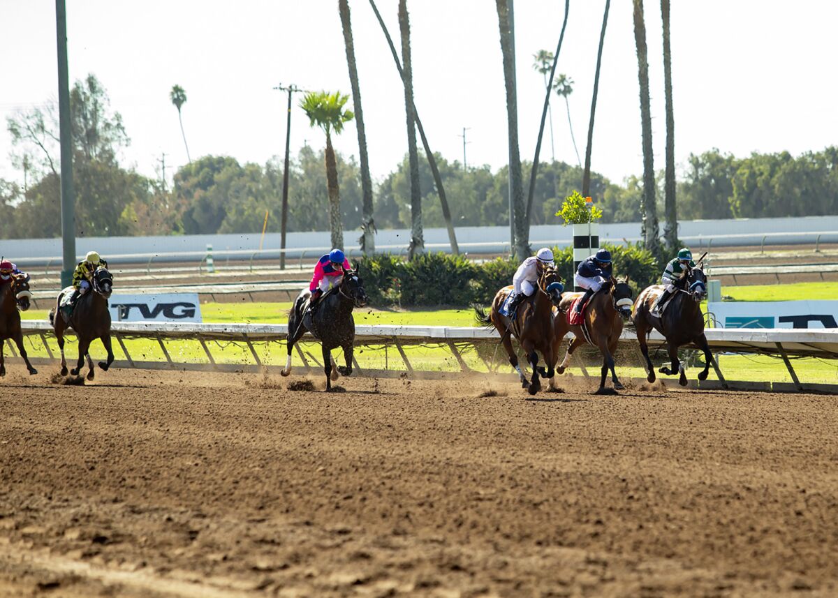 In this image provided by Benoit Photo, Sneaking Out, third from right, with Martin Garcia aboard, wins the Grade II, $200,000 Great Lady M Stakes horse race Saturday, July 4, 2020, at Los Alamitos Race Course in Cypress, Calif. (Benoit Photo via AP)