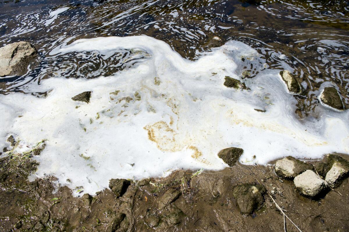 White foam pools near flowing water