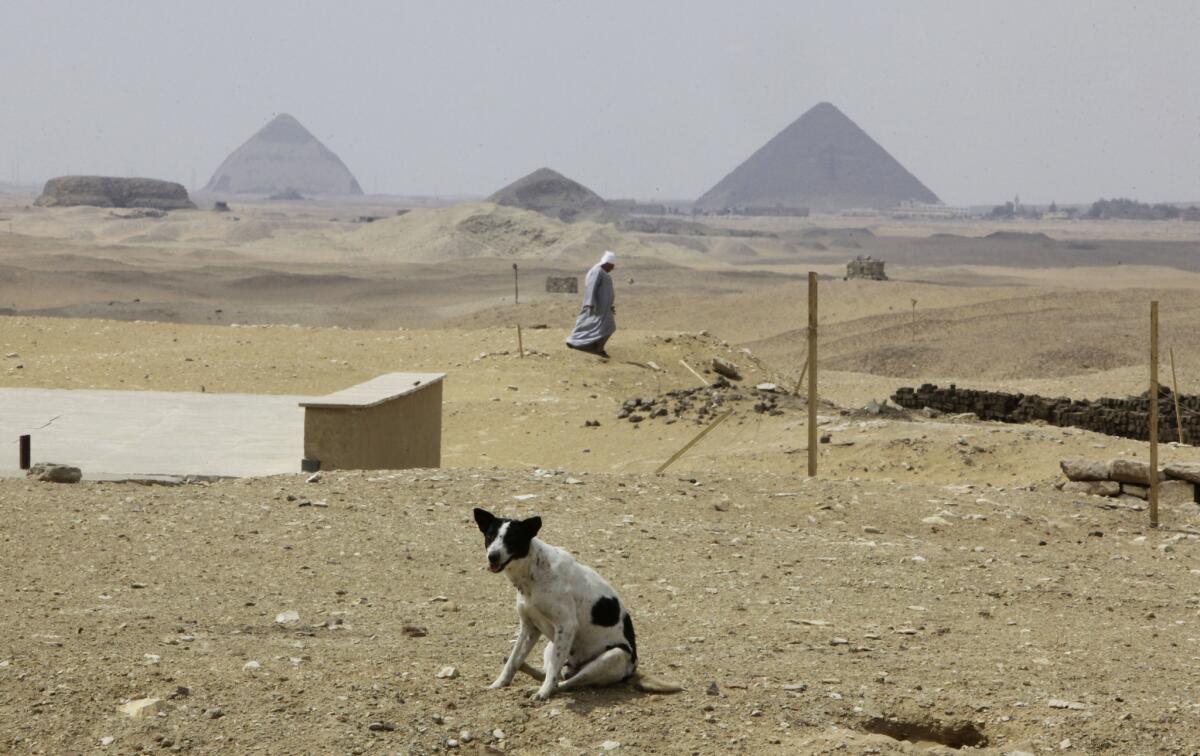 A stray dog and a solitary man -- but no tourists -- near the Great Pyramid of Giza, right, and the Bent Pyramid of Dahshur, left, south of Cairo.