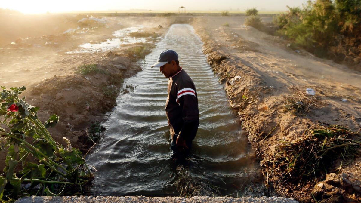 Abelardo Martinez stands in a blocked duct that feeds water to his fields near Colonia Coahuila, Mexico, through a maze of canals stemming off the overused Colorado River, which supplies water to millions of people and farms in the U.S. and Mexico.