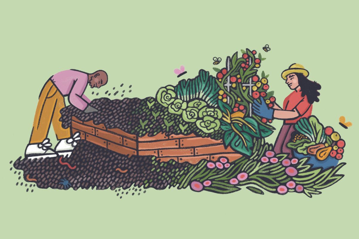 Illustration of two people composting and growing vegetables.
