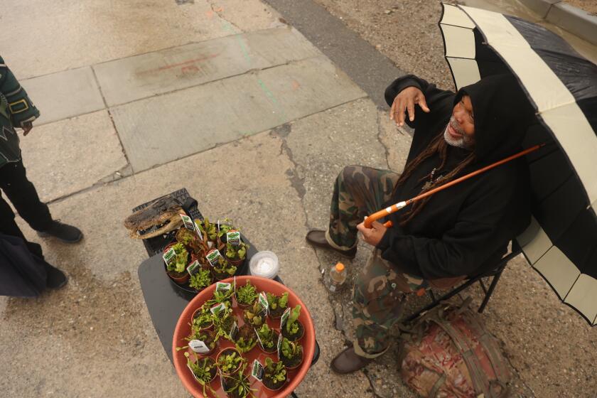 Los Angeles, CA - March 22: A man who chose not to give his name, holds an umbrella while selling plants during a rainy day at Leimerk Park Plaza on Friday, March 22, 2024 in Los Angeles, CA. (Michael Blackshire / Los Angeles Times)