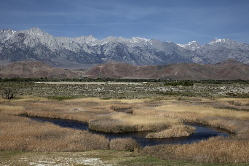 The Lower Owens River winds through the Owens Valley near Lone Pine.