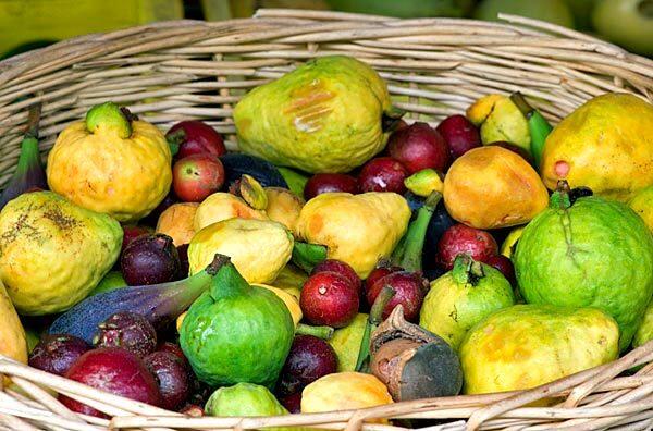 Hollywood Farmers Market