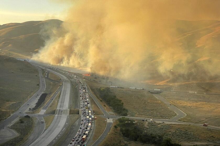 The Tumbleweed fire burns along the 5 Freeway on July 4.
