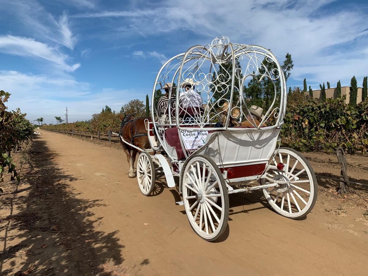 Opal Hagerty, de 95 años, da un paseo en carruaje con caballos por un viñedo de Temécula. A la mujer se le cumplió el deseo de disfrutar de un último paseo gracias al programa Dreams Do Come True, de la comunidad de jubilados de Cypress Court, en Escondido, donde vive desde 2011. (Pam Kragen / San Diego Union-Tribune)