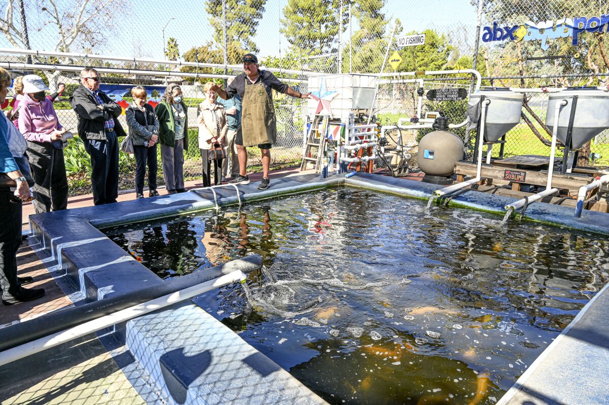 Bob Lutticken shares the origin story of the aquaponic pond with San Diego Horticultural Society members.