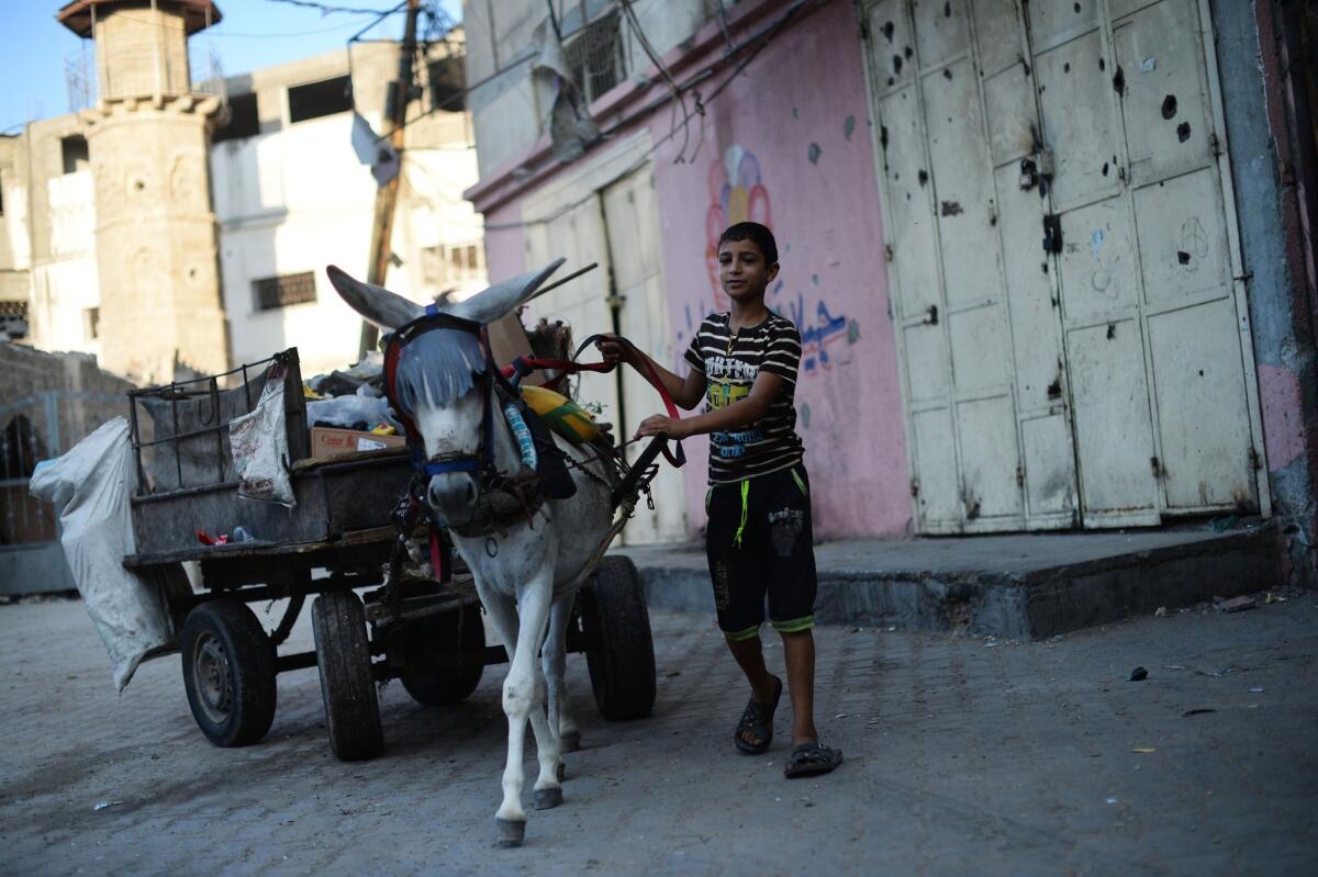 A Palestinian boy leads a donkey cart as he cleans garbage in Jabalia, in the northern Gaza Strip, on Aug. 14.